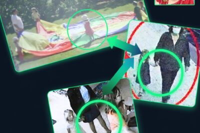 Maddie McCann Breakthrough: ‘The Woman in the Shadow’—Lost CCTV Tape Shatters 19-Year Manhunt Theory