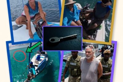 OVERBOARD OR OVER THE EDGE? The Chilling Disappearance of Lynette Hooker and the Arrest That Shocked the Sailing Community