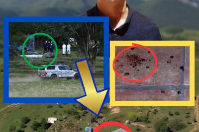 THE THOLOGOLONG TRIO? Shock DNA Discovery Suggests ‘Third Party’ Presence in Dezi Freeman Death Scene