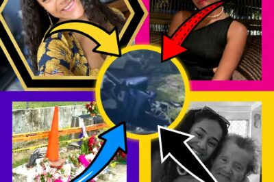 THE PROFIT MARGIN OF TRAGEDY: Virgin Australia Under Fire as GoFundMe Campaign for Lucinta Evans Exposes Corporate “Duty of Care” Failures