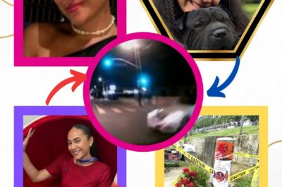 LURED TO THE CURB: The 2:15 AM “Ghost Alert” That Transformed the Lucinta Evans Tragedy into an International Crime Investigation