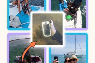 BEYOND THE BLUE: The Chilling Collapse of the “Sailing Hookers” Social Media Empire and the Arrest of Brian Hooker