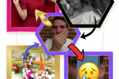 “PLEASE TELL HIM…”: Decrypting the Haunting Final Message of Lucinta Evans as Her Grieving Partner’s Ritual Stuns Onlookers