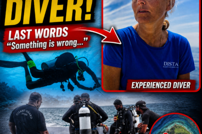 MIND-BLOWING PLOT TWIST:She Wrote About Exploring the Unknown Sea at 10 PM… By Morning This Top Expert Diver and Her 22-Year-Old Daughter Never Came Back from Maldives! 😱🙏