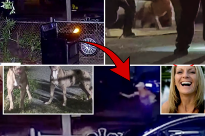 🌄😟 Major Plot Twist in Neighborhood Story: Peaceful Walk Turns Dramatic for 50-Year-Old After Dogs Appear on Blue Bonnet Drive – What the Footage and Reports Reveal About Final Moments