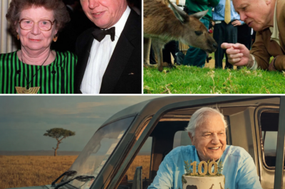 At 100, Sir David Attenborough Unveils His Ultimate Life Project – And He’s Not Doing It Alone!