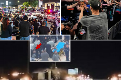 Tragedy in Spurs Victory: 17-Year-Old Fan Declared Brain Dead After Horrific Fall During Wild Celebration – CCTV Captures the Shocking Moment