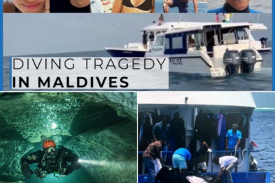 Recovery Teams Retrieve Bodies From Maldives “Shark Cave” After Days of Dangerous Search Operations