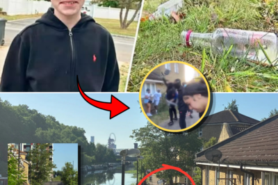 Teen Boy, 16, Fatally Stabbed After Violent Fight Breaks Out Following House Party