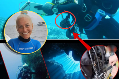 Recovered GoPro Footage May Provide Critical Clues in Deadly Maldives Cave Diving Disaster