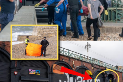 Investigators Examine Circumstances After Multiple Bodies Recovered Near Brighton Nightlife Area