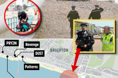 One Slip, Three Deaths: The Terrifying “Chain Reaction” Theory Behind the Brighton Sea Tragedy