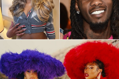 Megan Thee Stallion Pregnancy Rumors Involving Offset Spark Online Speculation