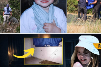 “THE CURTAIN SHOULDN’T HAVE MOVED” — New Madeleine McCann Analysis Challenges the Original Intruder Theory