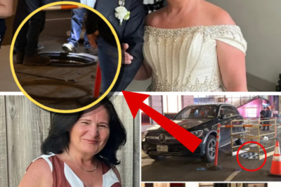 NYC Grandmother’s Horrific Final Moments Revealed After Fatal Fall Into Open Manhole