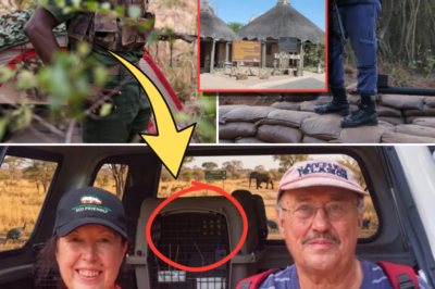 Police Suspect Elderly Tourists Were Silenced After Encountering Armed Poacher Gang Near Kruger National Park