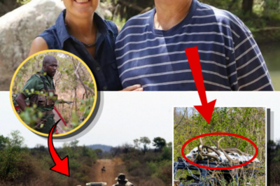 Elderly Couple May Have Been Executed After Accidentally Encountering Armed Poachers Near Kruger National Park, Police Fear