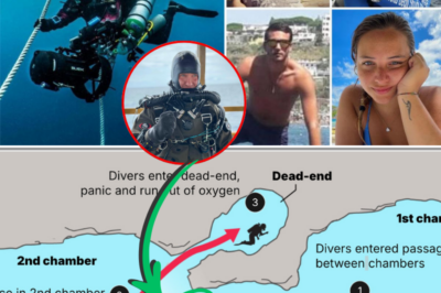 “Sand Wall” Theory May Explain Deadliest Diving Disaster in Maldives History, Experts Say