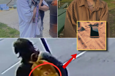 THE BIZARRE EVIDENCE TRIANGLE: Scattered Clues Deepen Mystery in Disappearance of 22-Year-Old Student