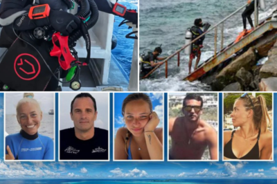 Veteran Diving Expert Questions Safety Decisions After Deadly Maldives Cave Diving Disaster
