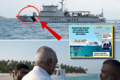 Ex-Military Diver Reveals Critical Permit Dispute Behind Deadly Maldives Cave Disaster