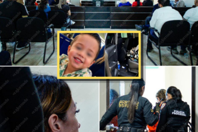 Prosecutors Reject Request for Reduced Charges in Vicente Hot Car Death Case