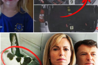 “THE SCENT EVIDENCE”: Why Cadaver Dog Alerts in the Madeleine McCann Case Remain Contested Years Later