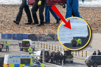 Investigation Underway After Three Women Found Dead in Waters Off Brighton Beach