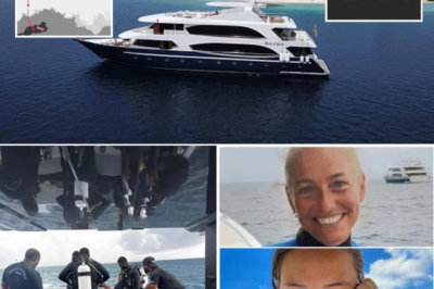 “WE NEVER APPROVED THAT DIVE” — Maldives Tour Company Denies Responsibility as Elite Divers Enter ‘Shark Cave’