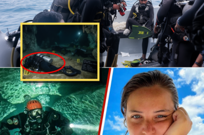 Elite Recovery Divers Locate Missing Tourists Inside Maldives “Shark Cave” After Dangerous Search Mission
