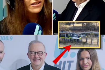 “NO ROYAL COMMISSION” — Anthony Albanese Sparks Fury After Refusing Urgent Inquiry Into Violence Against Women