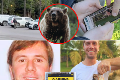 💔 First fatal bear attack in Glacier NP in 28 years – what made him go solo into the shadows?