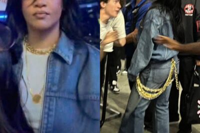 Rihanna Melts Fans’ Hearts After Sweet Fan Interactions at A$AP Rocky’s Chicago Concert Go Viral