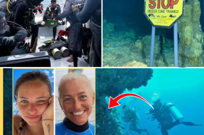 🌊 SHOCKING PARADISE ALERT: Expert Divers Battle Depths to Protect Remains of Missing Italians from Sharks Inside Dangerous Vaavu Atoll Caves