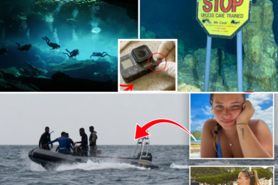 🔍 GO PRO BOMBSHELL in Paradise Horror: Top Marine Scientist & Daughter Among Five Dead in Cave — Husband Reveals the One Piece of Evidence That Might Finally Solve the Deadly Mystery.