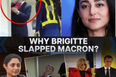 The ‘Slap’ That Shook the World: Iranian Actress Golshifteh Farahani’s Flirty Texts Sparked Brigitte Macron’s Infamous Plane Meltdown with Emmanuel – New Book Exposes All! 😱