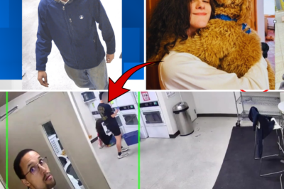 😱 CHILLING PLOT TWIST in College Murder Case: Video Shows Accused Killer Stalking 19-Year-Old Student in Laundry Room Minutes Before the Crime – New Footage Changes Everything