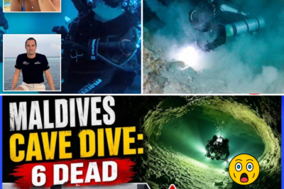 Why Did Their Most Reliable Underwater Equipment Fail? Chilling New Clues Point to One Indispensable Item Behind the Deaths of Five Experienced Italian Divers