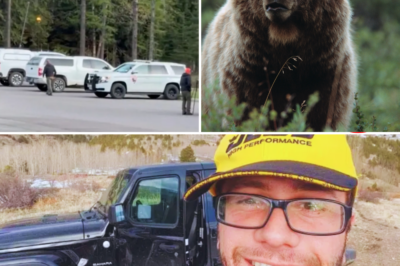 🏔️😭 “It’s Wild Out Here. I Love You Dad” – Beautiful Final Voicemail Before a Grizzly Bear Dragged Him 50 Feet Into the Woods in a Sudden Twilight Attack! The Shocking Truth 🐻