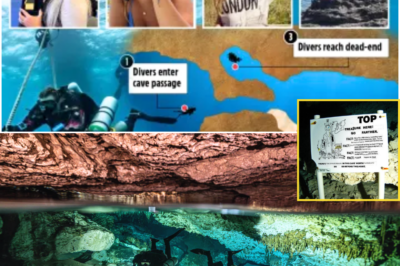 A hidden message was located near the Maldives diving cave after the group failed to return… 😢 The words written by one of the men have taken on a completely different meaning in a shocking twist no one anticipated