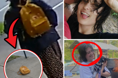 Homeless Hero’s Chilling Discovery: Missing NKU Student’s Bright Yellow Bag Dumped Roadside – Fingerprints Now Racing to DNA Test!