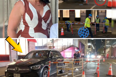 Mercedes M.u.r.d.e.r Hole: Police Reveal How One Luxury Car Step Led to a Grandmother’s Horrifying Steam Scalding Death in NYC