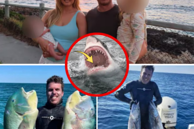Father of Two Torn Apart by 5-Meter Great White in Front of His Best Mates: Heartbreaking Final Moments of Devoted Dad Spearfishing Off Paradise Island