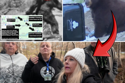 Terror in Ohio Woods: Eerie Howls and 17-Inch Monster Footprints Spark Panic – ‘I Know What I Saw!