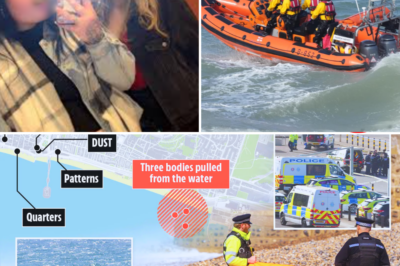 🔥 “Three Young Women Pulled Dead from Brighton Sea in Heartbreaking Tragedy – What Led to This Dawn Horror at Palace Pier? Families Desperate for Answers 😱