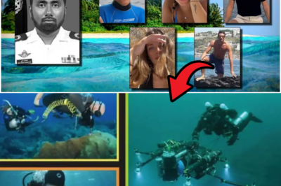 😲 HEARTBREAKING PLOT TWIST: Scientists Ignored Technical Equipment, Dove With Basic Holiday Gear Into Dangerous Maldives Cave — All Found After Days of Desperate Search!