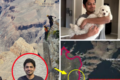 CHILLING NEW QUESTIONS in Grand Canyon Horror: What REALLY Happened to Sandarsh Krishna on His Short Walk Back to Bright Angel Lodge – Just HALF A MILE from Where His Body Was Found?