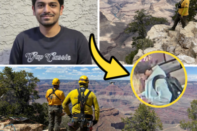 “About to Graduate With a Bright Future Ahead” – Brother of ASU Student Sandarsh Krishna Drops Bombshell: Family Refuses to Believe He Committed Suicide