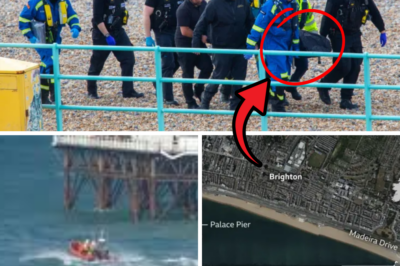 “THEY WENT IN FOR A PADDLE… AND NEVER CAME OUT”: Cause of Death Confirmed for Three Young Women Found in Brighton Sea — Swept Away After Night Out