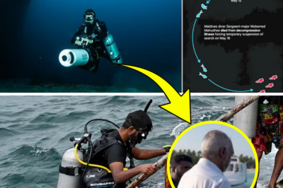 “I’ve Been to the Maldives Death Caves Countless Times But Never Into the Third Chamber Where the Tourists Died… It Was an Accident Waiting to Happen,” Says Local Expert as He Describes the Horrors the Group Could Have Experienced